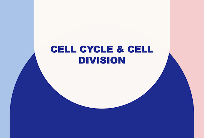 design research backed medical ppts